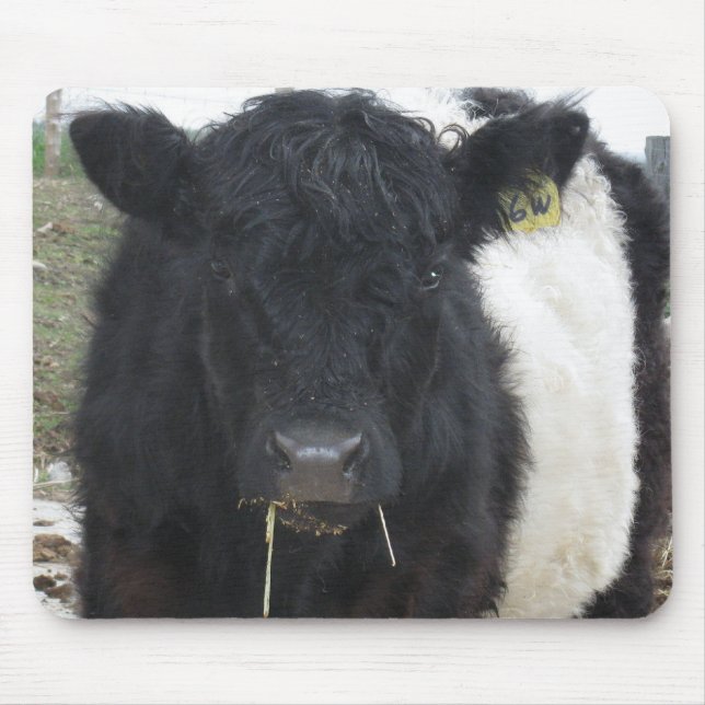 Tapis De Souris Vache à ventre nue mangeant du foin (Devant)