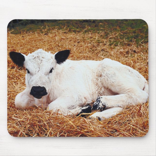 Tapis De Souris Vache bébé, veau (Devant)
