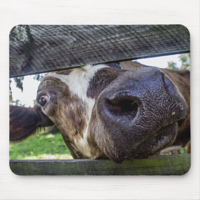 Tapis De Souris Vache curieuse (Devant)