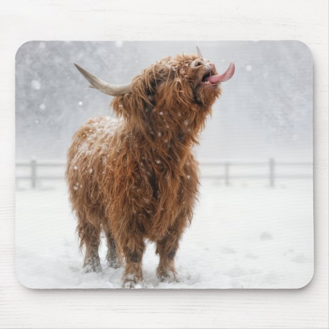 Tapis De Souris Vache des Highlands écossaise léchant des flocons  (Devant)