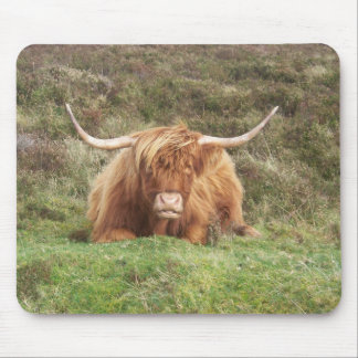 Tapis De Souris Vache des montagnes sur Dartmoor
