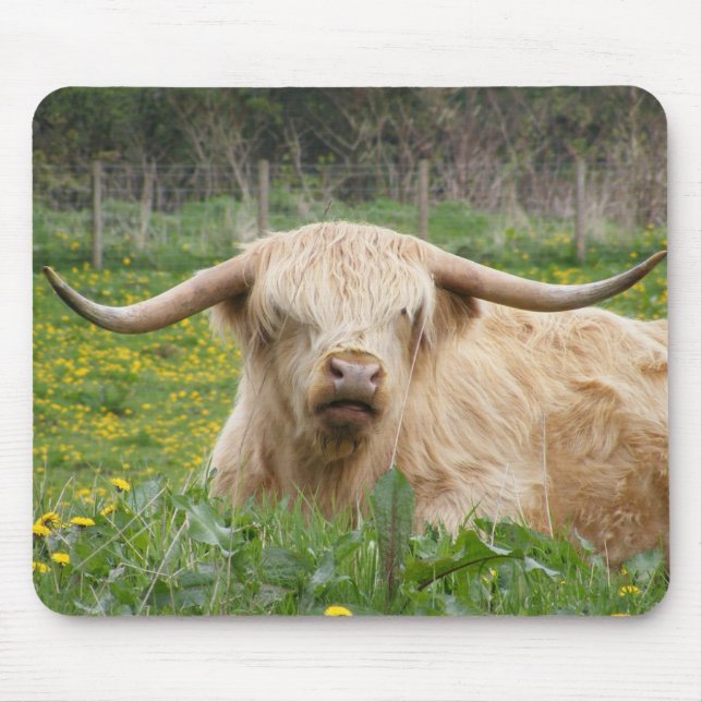 Tapis De Souris Vache écossaise des Highlands (Devant)