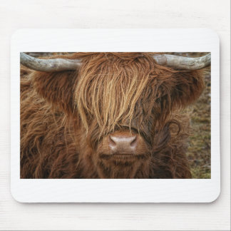 Tapis De Souris Vache écossaise des Highlands - Écosse