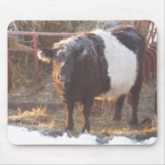 Tapis De Souris Vache galloway à ceinture gelée
