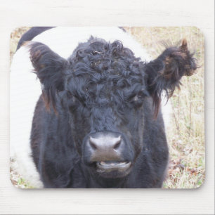 Tapis De Souris Vache galloway ceinturée - Emma