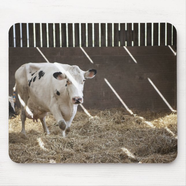 Tapis De Souris Vache laitière (Devant)