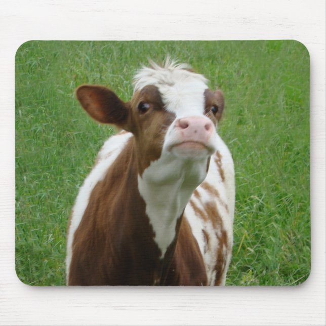 Tapis De Souris Vache laitière sur la ferme (Devant)