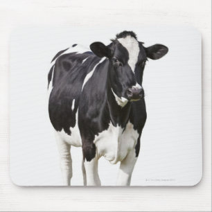 Tapis De Souris Vache laitière (Taureau de Bos) sur l'arrière -