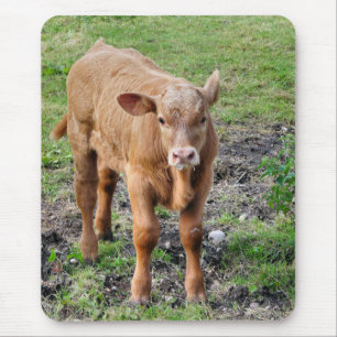 TAPIS DE SOURIS VACHES