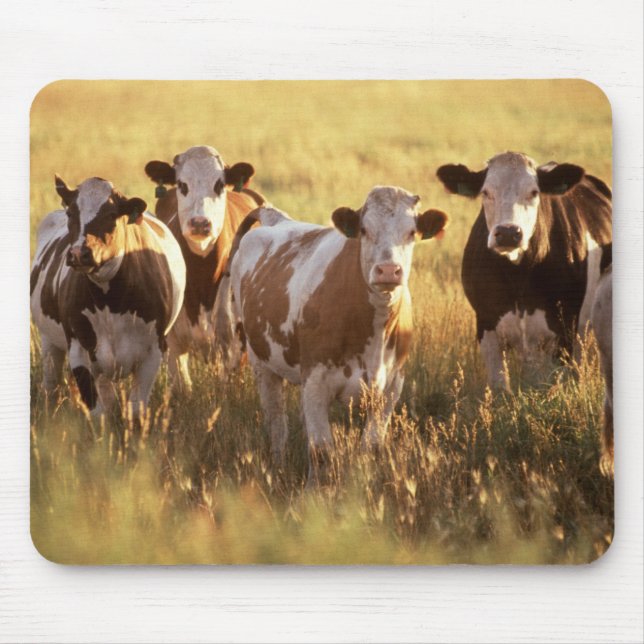 Tapis De Souris Vaches (Devant)