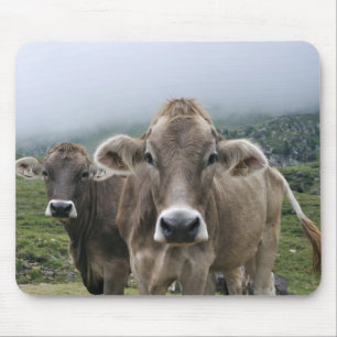 Tapis De Souris Vaches alpines