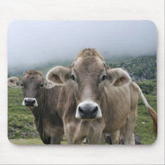 Tapis De Souris Vaches alpines