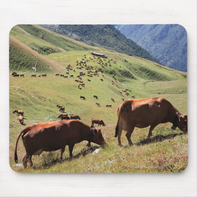 Tapis De Souris Vaches dans la vallée de la Tarentaise - Course de (Devant)