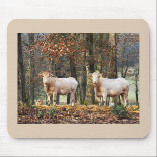 Tapis De Souris Vaches en bois, France