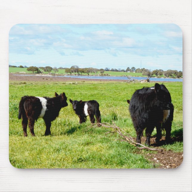 Tapis De Souris Vaches Galloway, Mousepad (Devant)