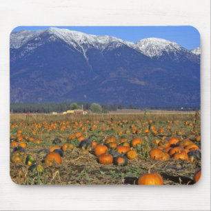Tapis De Souris Vallée de Flathead Montana champ de citrouilles