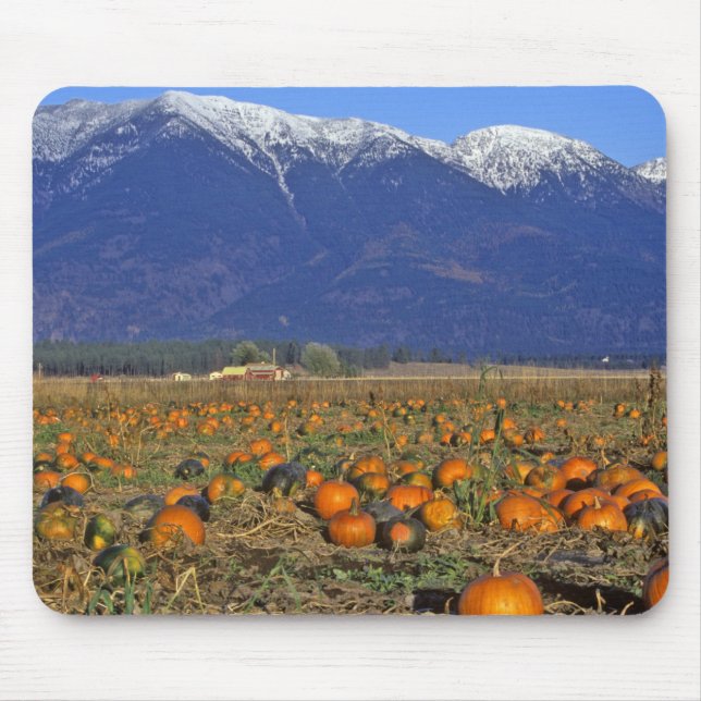 Tapis De Souris Vallée de Flathead Montana champ de citrouilles (Devant)