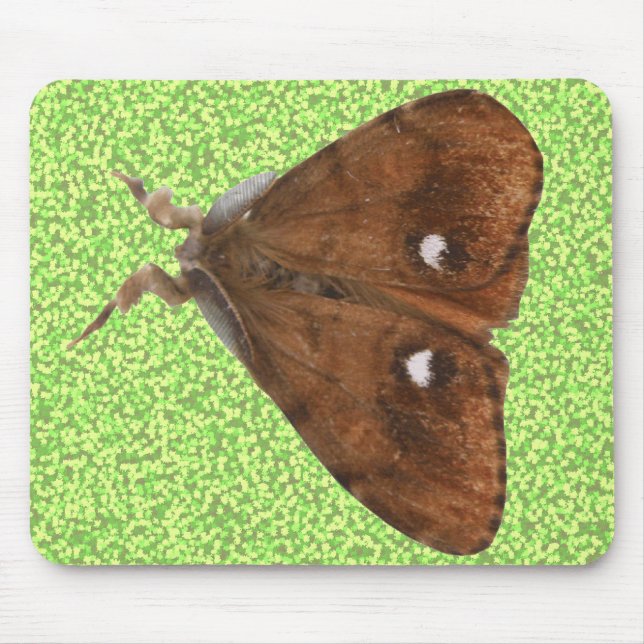 Tapis De Souris Vapourer Moth Mousepad (Devant)