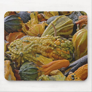 Tapis De Souris Variété de courge