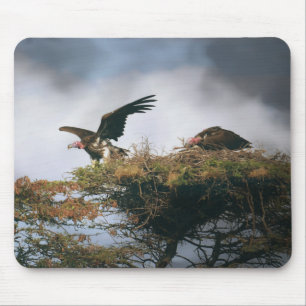 Tapis De Souris Vautour nicheur Mousepad