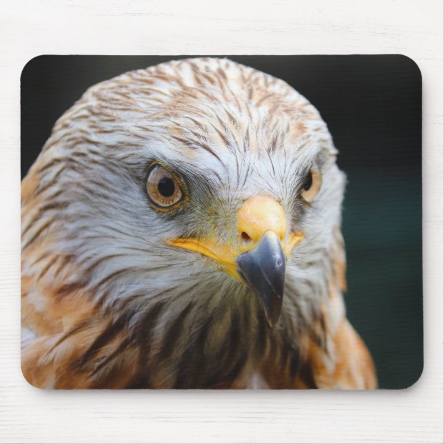 Tapis De Souris vautour, vautour du désert, oiseau (Devant)