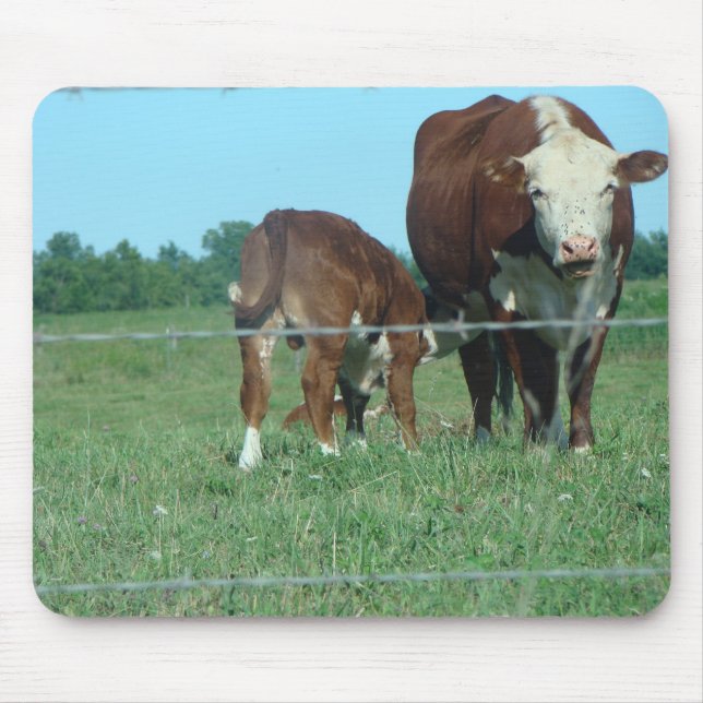 Tapis De Souris Veau de soins (Devant)