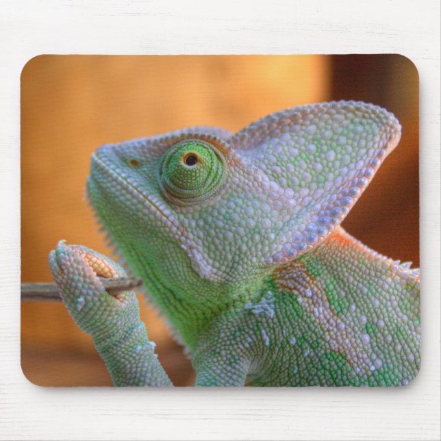 Tapis De Souris Veiled Chameleon (Devant)