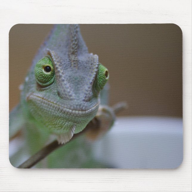Tapis De Souris Veiled Chameleon (Devant)