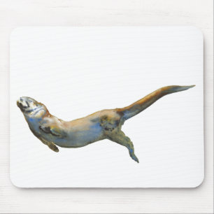 Tapis De Souris Velours 2014