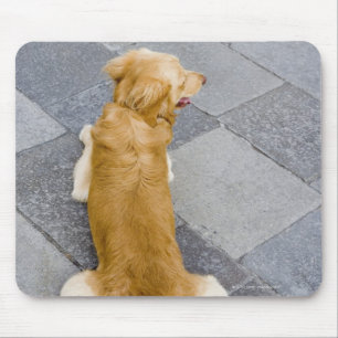 Tapis De Souris Venise, Italie