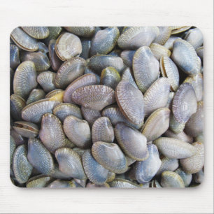 Tapis De Souris Venus Clam [ห อ ย ล า ย]