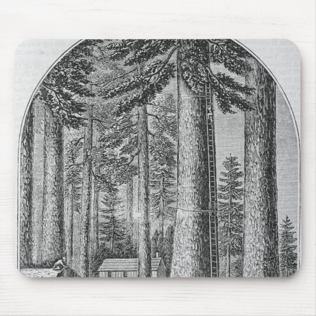 Tapis De Souris Verger gigantesque d'arbre dans la vallée du (Devant)