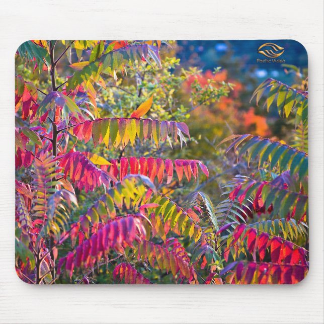 Tapis De Souris Vermont Foliage (Devant)