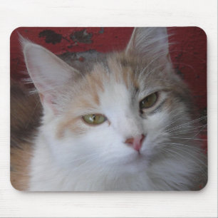 Tapis De Souris Veronica le beau -Mousepad
