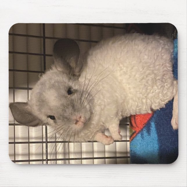Tapis De Souris Verrouillage "Curly" Chinchilla Mousepad (Devant)
