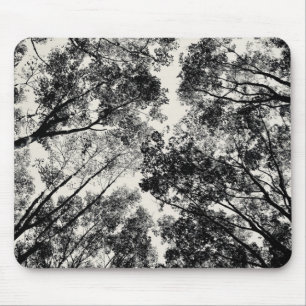 Tapis De Souris Vers le haut de par les arbres, images de SVP de