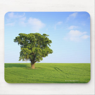 Tapis De Souris Vert, ivrogne,