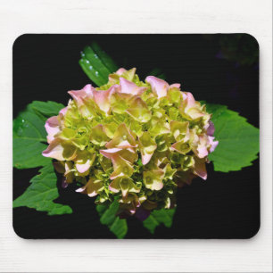 Tapis De Souris Vert jaune rose Hydrangea rose fleur jaune rose