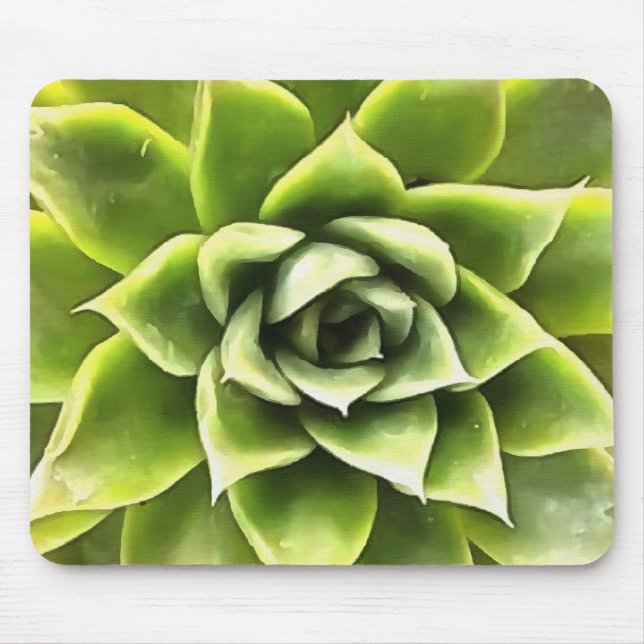 Tapis De Souris Vert Succulent Gros Plan Cactus (Devant)