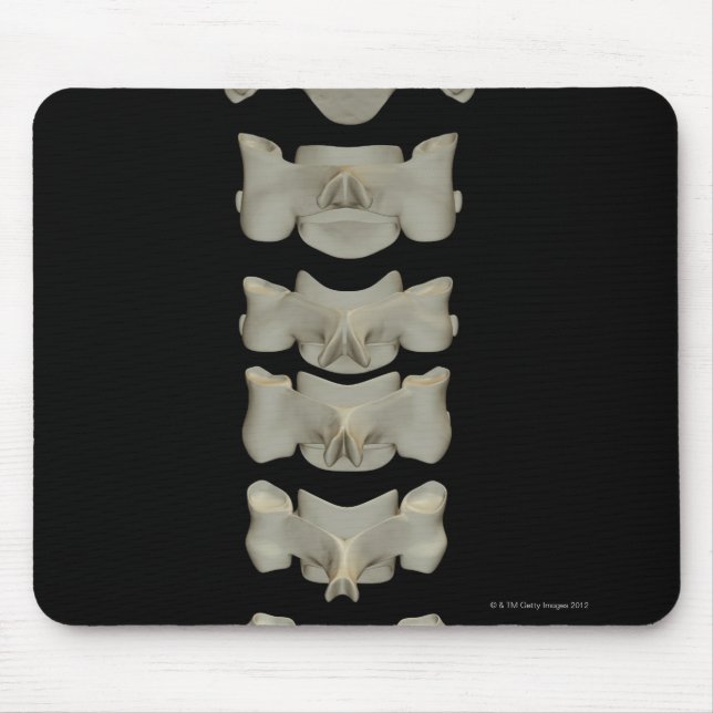 Tapis De Souris Vertèbre cervicale (Devant)