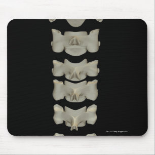 Tapis De Souris Vertèbres cervicales