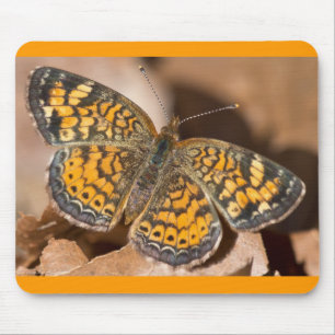 Tapis De Souris Vêtements et Cadeaux Papillon Brun et Orange