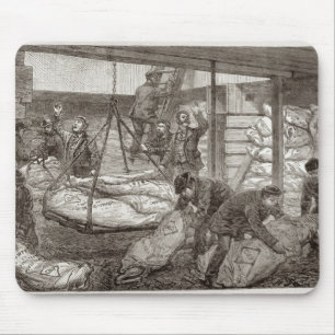 Tapis De Souris Viande congelée australienne de débarquement