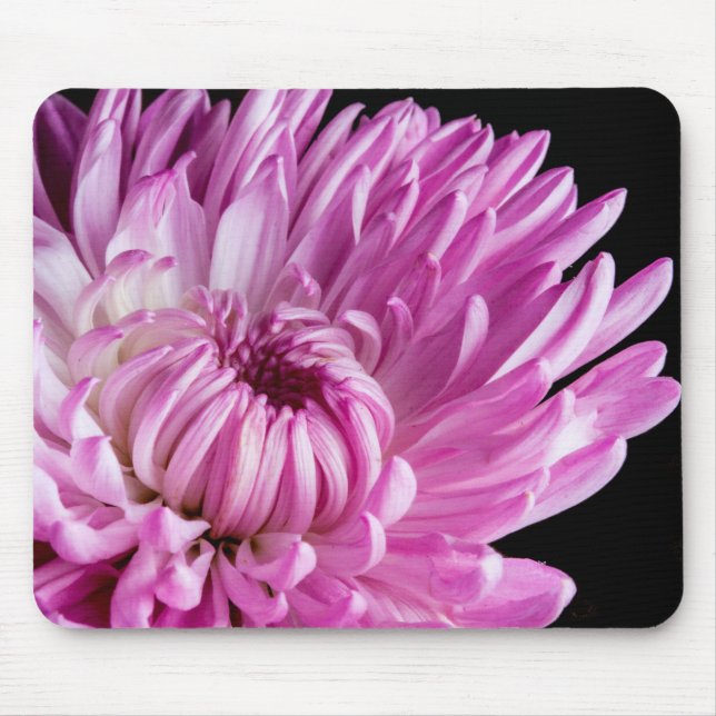Tapis De Souris Vibrant en Dahlia Rose (Devant)