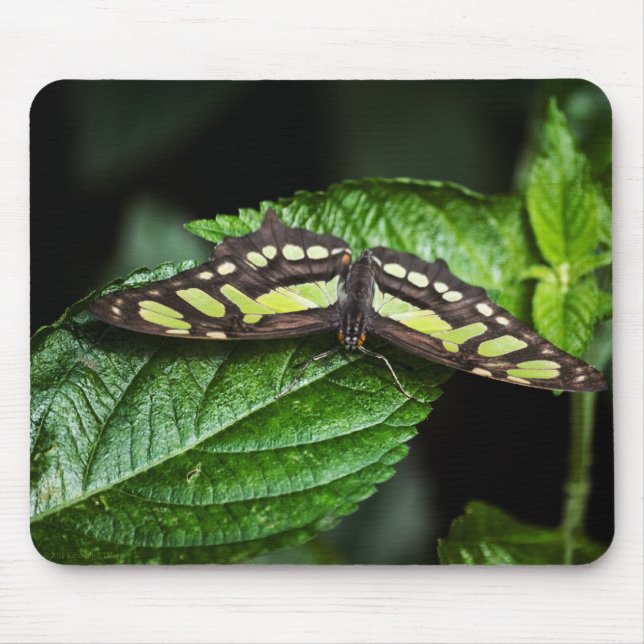 Tapis De Souris Vibrant Mousepad vert (Devant)