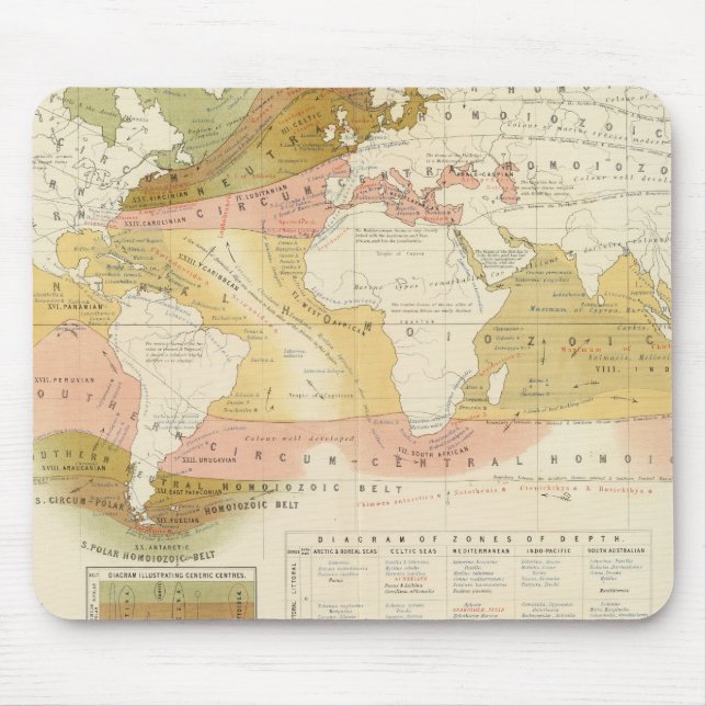 Tapis De Souris Vie marine (Devant)