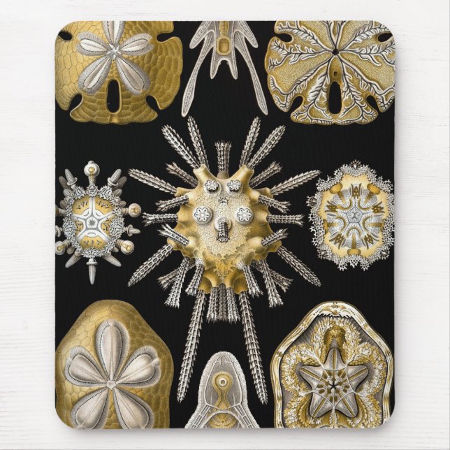 Tapis De Souris Vie marine Haeckel (Devant)
