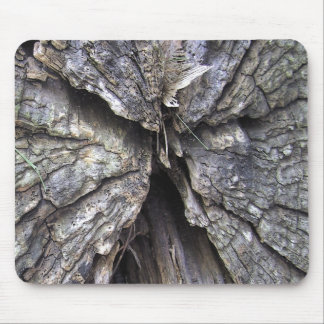 Tapis De Souris Vieux bois criqué un ange Mousepad