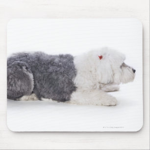 Tapis De Souris Vieux chien de berger anglais sur l'arrière - plan