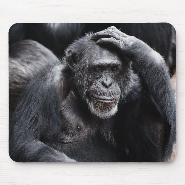 Tapis De Souris Vieux mousepad de Chimpanzé (Devant)